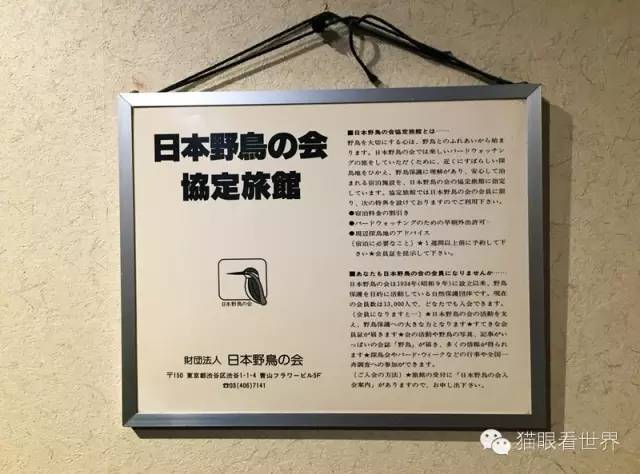 北海道︱野性的呼唤