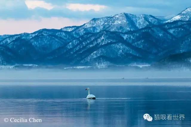 北海道︱雪山下的“纯美童话”