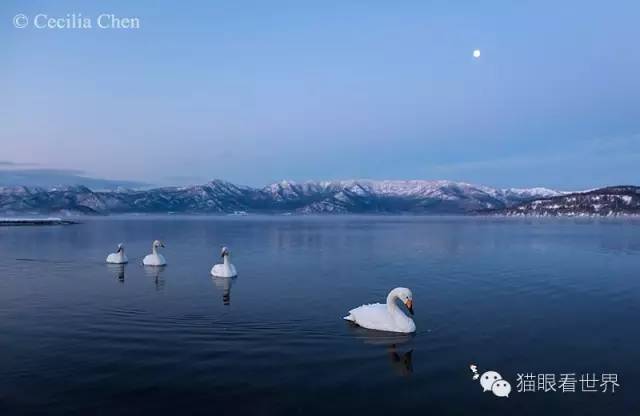北海道︱雪山下的“纯美童话”