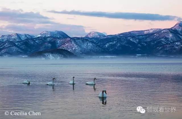 北海道︱雪山下的“纯美童话”