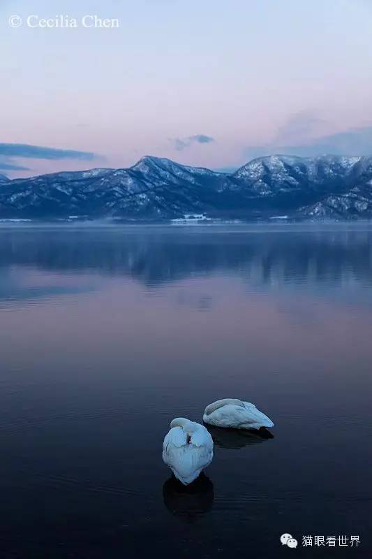 北海道︱雪山下的“纯美童话”