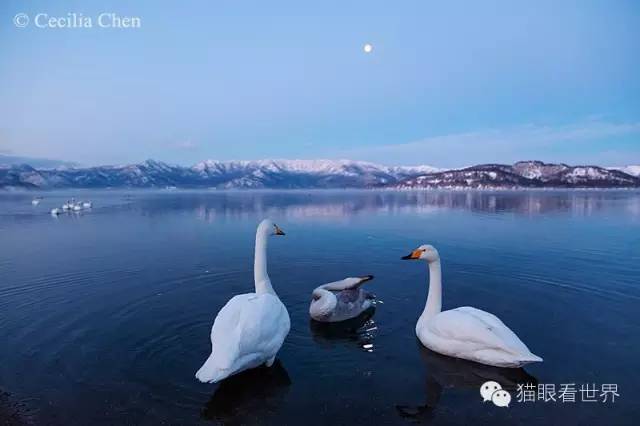 北海道︱雪山下的“纯美童话”