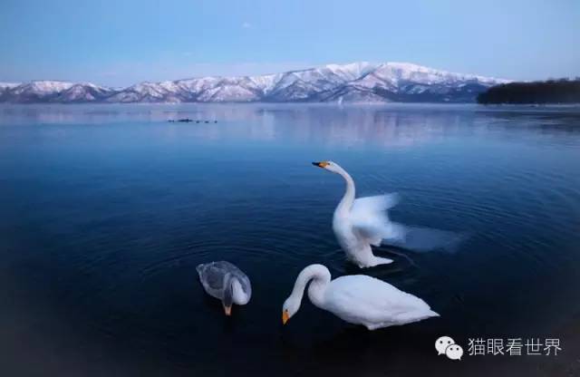 北海道︱雪山下的“纯美童话”