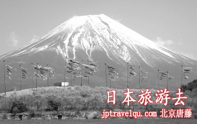 保护文化遗产 日本不遗余力
