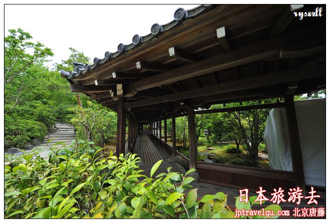 日本之旅：世界文化遗产——天龙寺