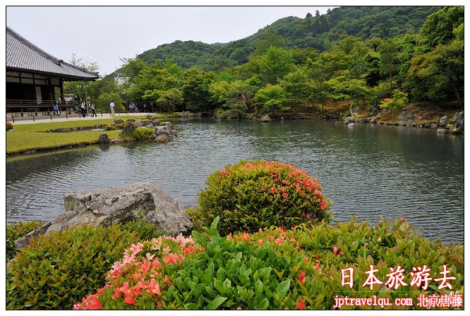 日本之旅：世界文化遗产——天龙寺