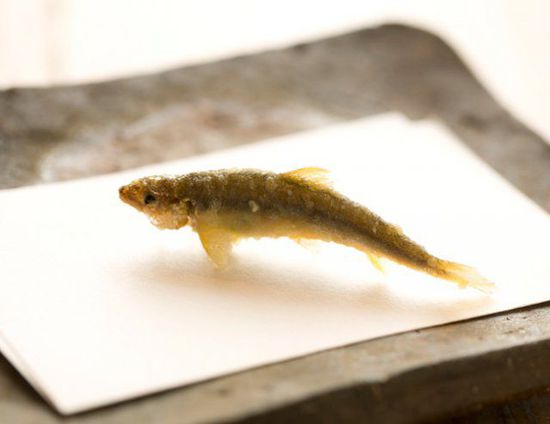日本美食天妇罗的正确打开方式