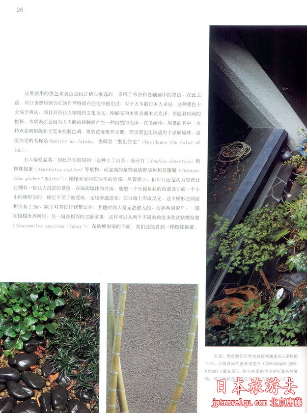 日本庭院景观设计