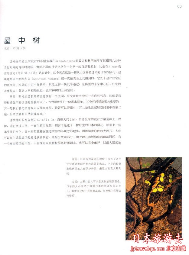 日本庭院景观设计
