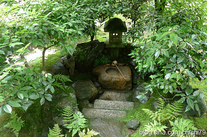 日本茶道