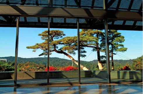 茶道文化对日本建筑的影响。