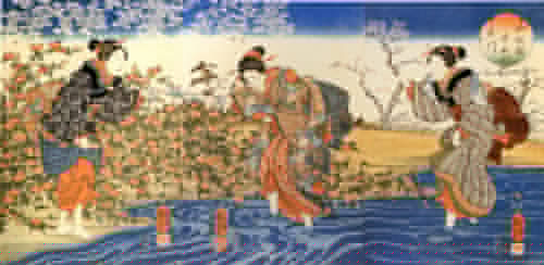 水瓶Maggi厨_0nj