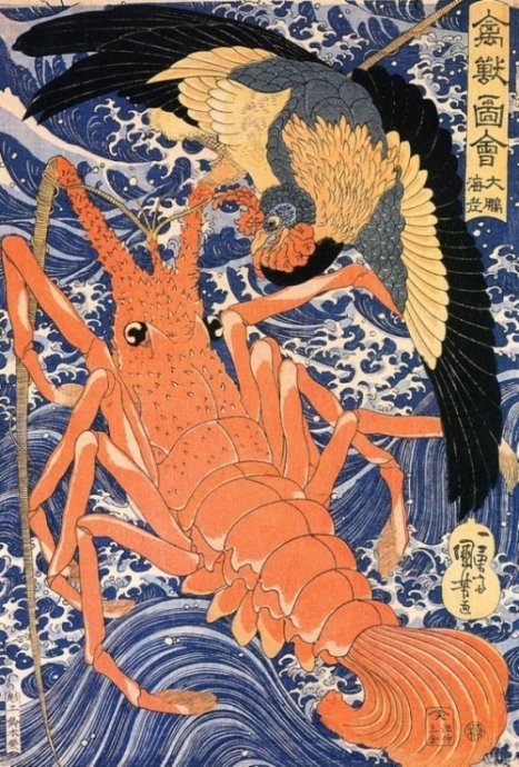 水瓶Maggi厨_0nj