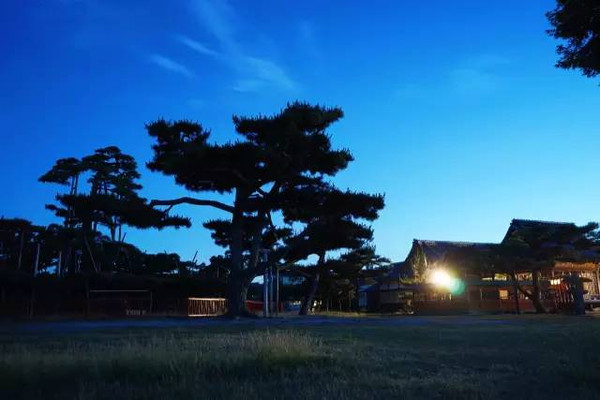 日本旅游巧妙避开人群 带你看一个安静美丽的日本