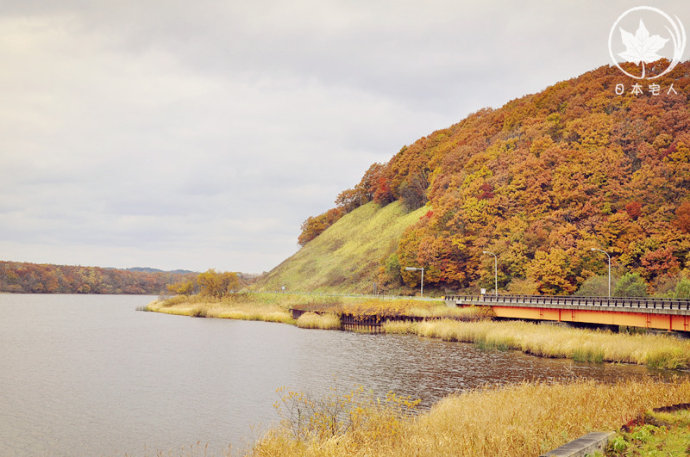 【日本旅游】一路向东，北海道纯净之美，非诚勿扰