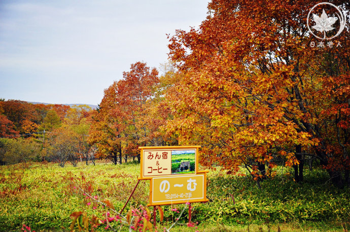 【日本旅游】一路向东，北海道纯净之美，非诚勿扰