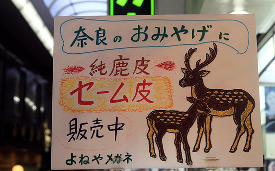 感受最质朴的日本文化 日本奈良的旅游之感