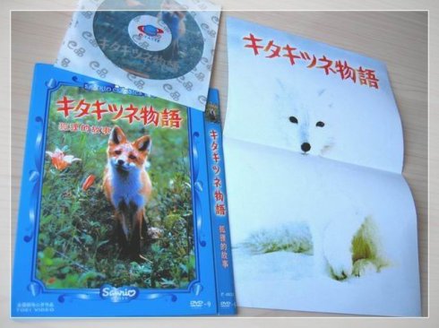 [转载]关于日本电影《狐狸的故事》