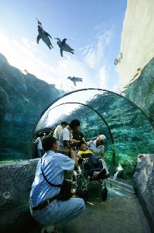 北海道 日本的避暑胜地图片