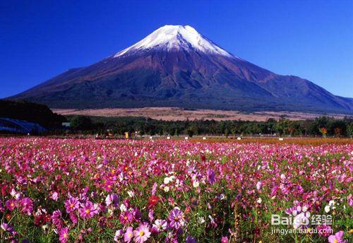 秋天日本旅游购物指南