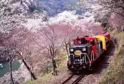 日本旅游｜这些地方才是日本秀色可餐的颜值代表