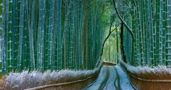 日本旅游｜这些地方才是日本秀色可餐的颜值代表