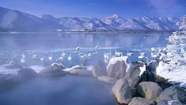 日本旅游｜这些地方才是日本秀色可餐的颜值代表