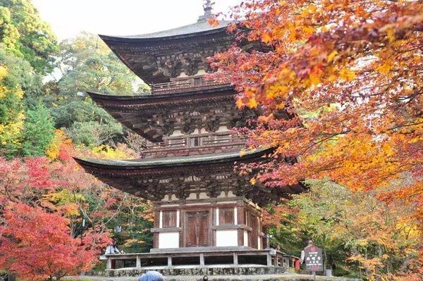 日本旅游｜这些地方才是日本秀色可餐的颜值代表