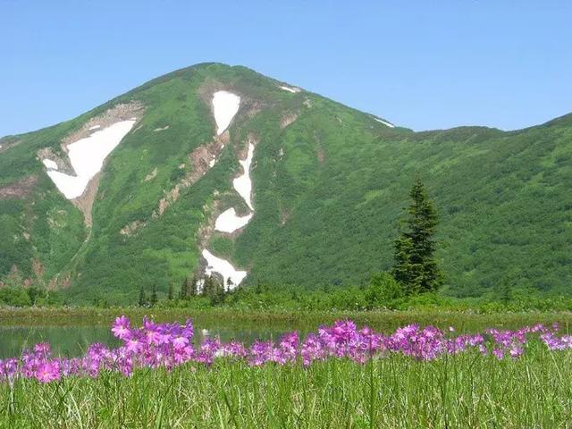 日本旅游｜这些地方才是日本秀色可餐的颜值代表