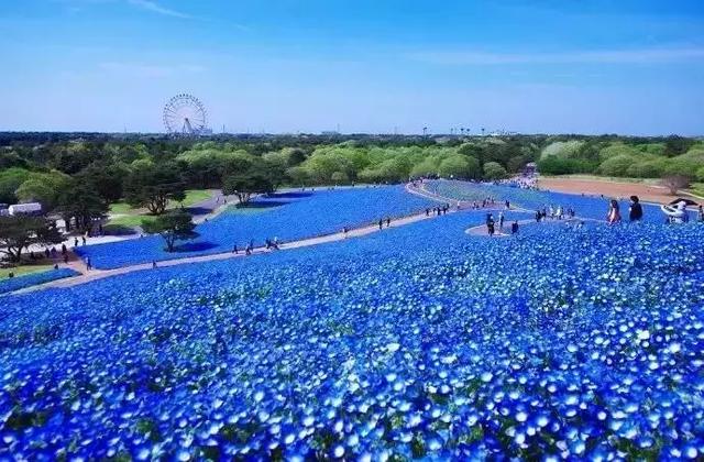 日本旅游｜这些地方才是日本秀色可餐的颜值代表