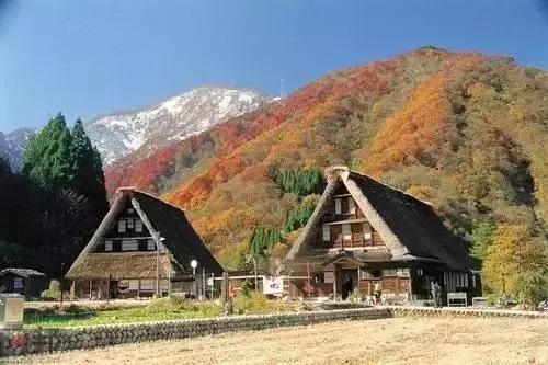 日本旅游｜这些地方才是日本秀色可餐的颜值代表