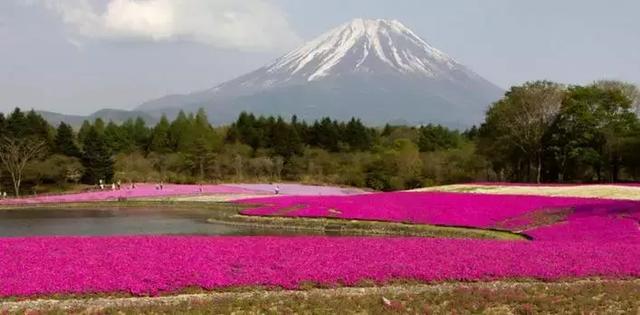 日本旅游｜这些地方才是日本秀色可餐的颜值代表