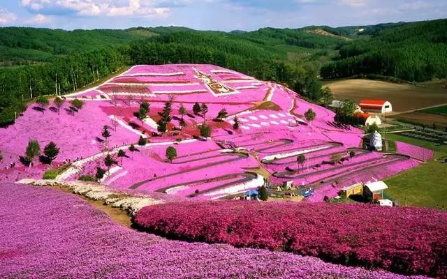 日本旅游｜这些地方才是日本秀色可餐的颜值代表