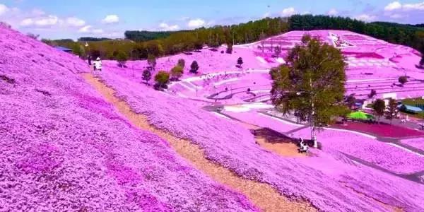 日本旅游｜这些地方才是日本秀色可餐的颜值代表