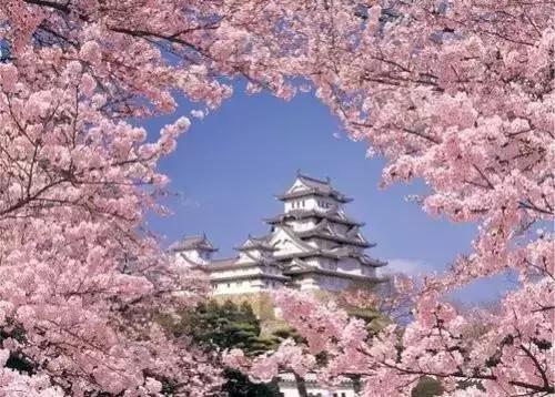 日本旅游｜这些地方才是日本秀色可餐的颜值代表