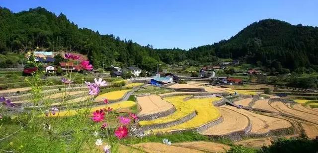 日本旅游｜这些地方才是日本秀色可餐的颜值代表