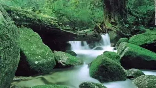 日本旅游｜这些地方才是日本秀色可餐的颜值代表