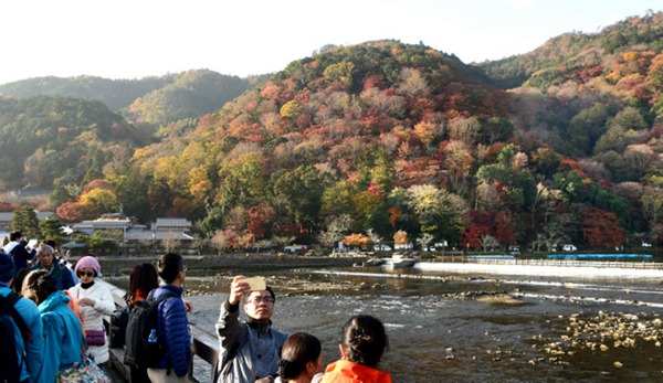 京都岚山渡月桥迎来红叶最佳观赏期（图片来源：朝日新闻网站）