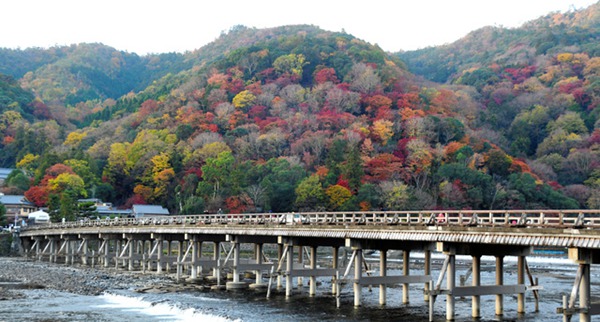 京都岚山渡月桥迎来红叶最佳观赏期（图片来源：朝日新闻网站）