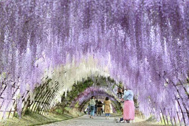 CNN评选出日本最美31处小众景点！第一个就没听说过！