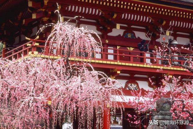 去日本福冈旅游，这些文化景点值得一去